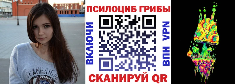 дарнет шоп  Прокопьевск  Псилоцибиновые грибы Cubensis 